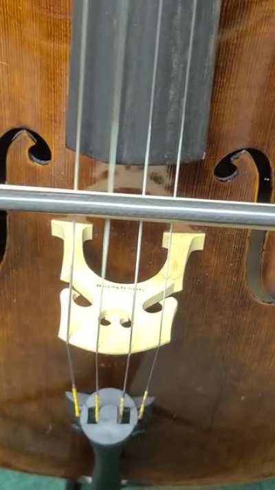 fieryrage cello