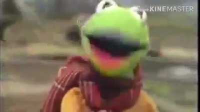 Kermit on a bike