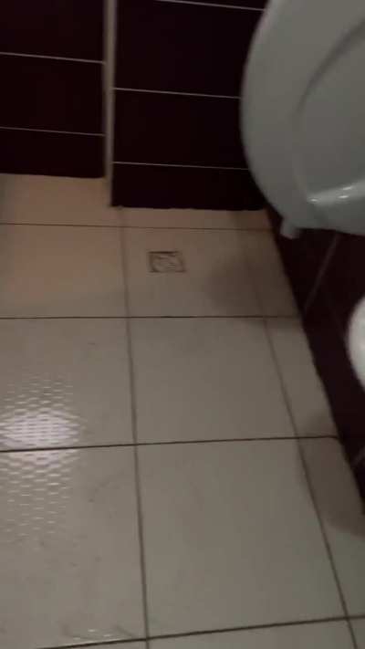 Pisuvara sıçtılar