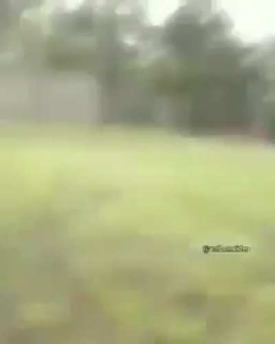 Whats the monster doing tho?