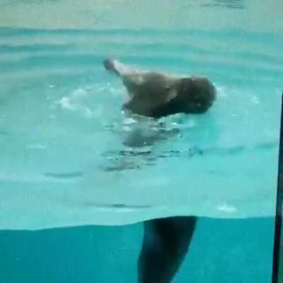 Water Zoomies
