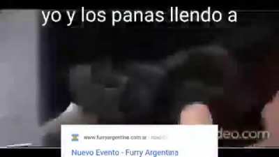 Va a ver quilombo