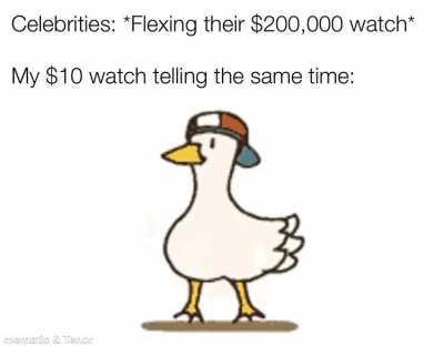 Celebrities are dumb