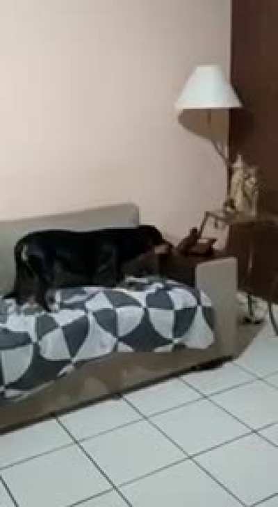 osh