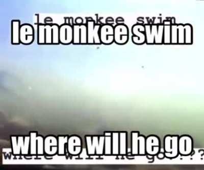 where will he go?