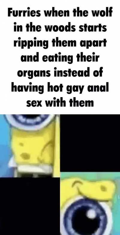 Funny furry moments