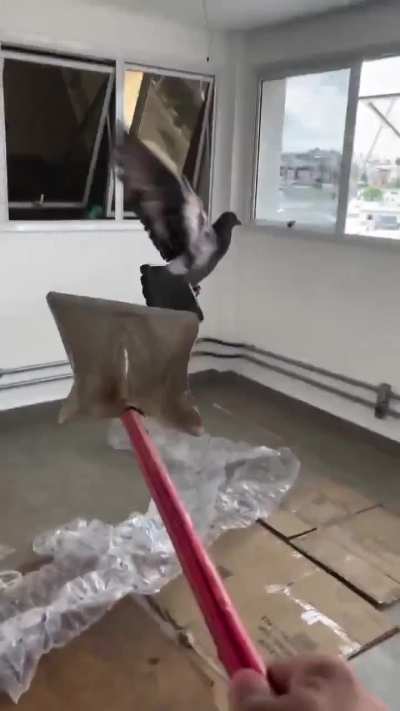 Maybe maybe maybe