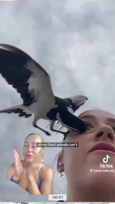 An eye for an eye
