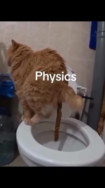 What is the maximum number of physics problems you solved in a Day? And how were you able to complete your goal on time?