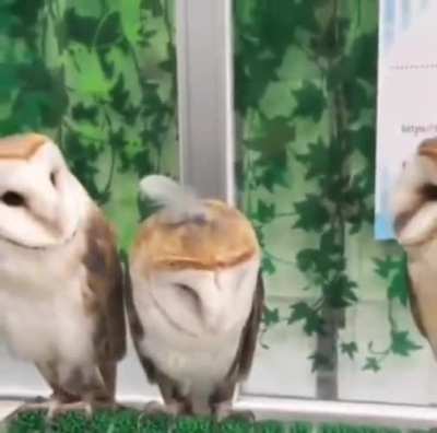 When you have a hair out of place but your bro is looking out for you.