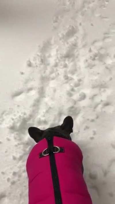 My man said nope,I ain&rsquo;t going out in this shit