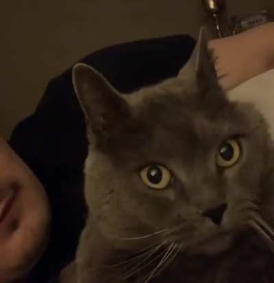 Did&hellip; did that motherfucker just lick me?!