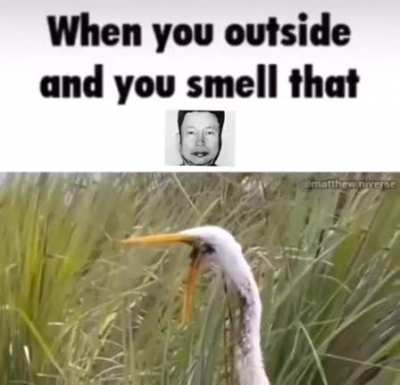holiday in cambodia
