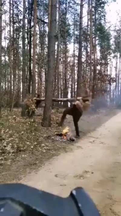 More speed