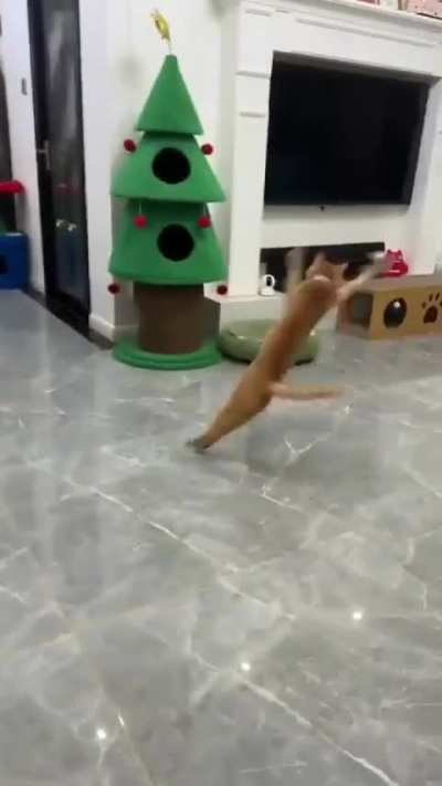 Hhhhhhhhhh