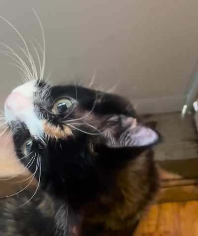 Email has opinions about the fact that she can&rsquo;t have her porch time because of the rain. 