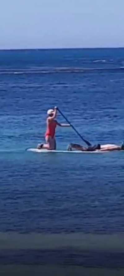 All aboard the wife submarine