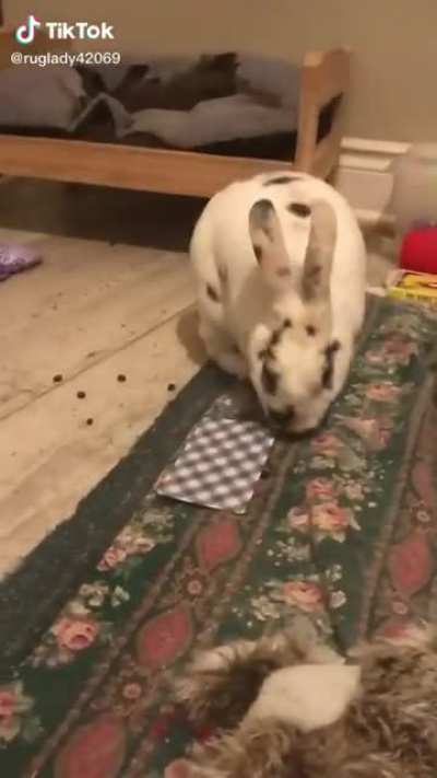 Pick a card, any card!