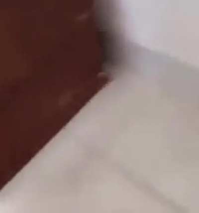 *Bonk*