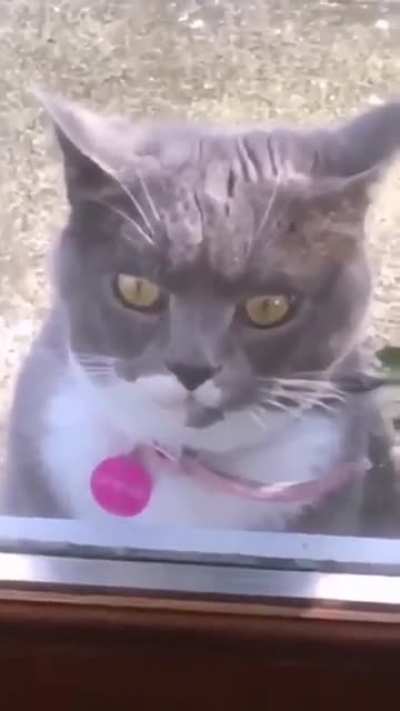 Wait for it....