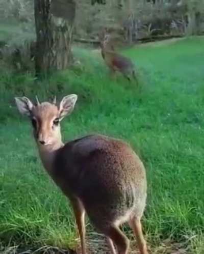 Those guys eating