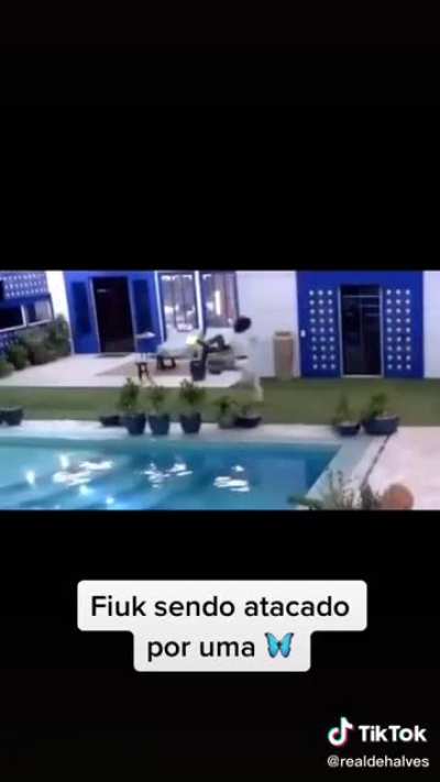 Fiuk conhecendo formas de vida