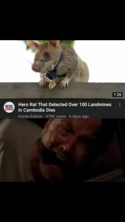 noooooo big sad =(