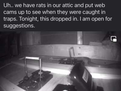 Posted in my town&rsquo;s local Facebook group.