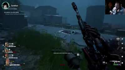 TIP: If Your Team Is Coordinated Enough, You Can Shoot Most Birds And Not Alert Any Hordes