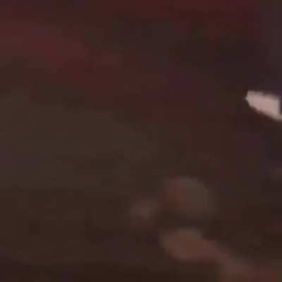 Gente del Guano
