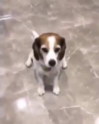 😛