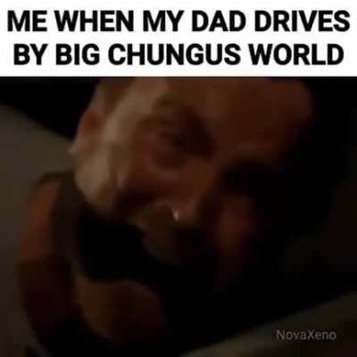 mfw, nova_xeno on instagram