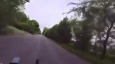Turn Signal? 