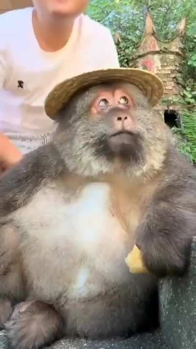 nfc