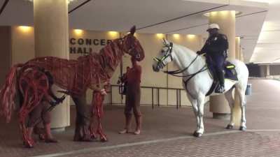 Mechanical horse interacts with a real horse