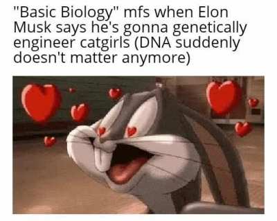 Catgirls Rule
