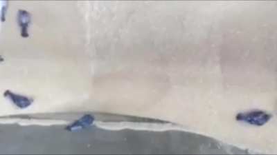 Производство муки второго сорта