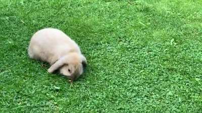 Despite all the construction noise next door Chihiro and Lin said &ldquo;No thoughts, head empty. Just grass on my mind&rdquo;