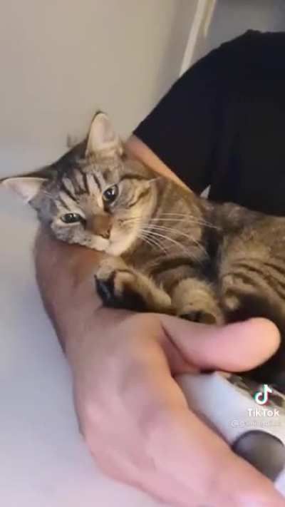 Getting comfy