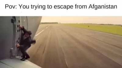 Over 1000 IQ