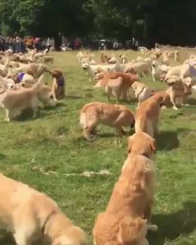 Encontro em fam&iacute;lia