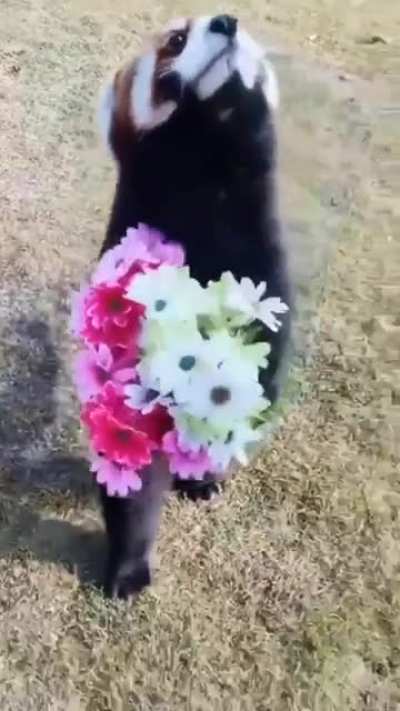 Hide your wife!