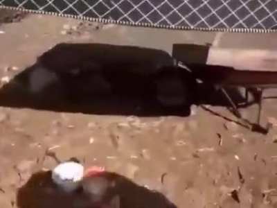 Explica isso agora newton