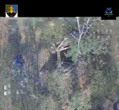 Drone drop footage from Ukraine "SkyHunters" division