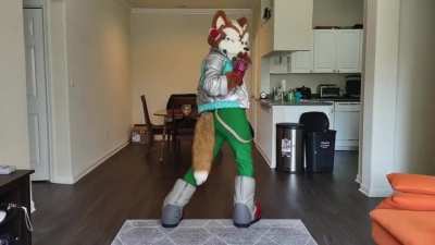 Fox_irl