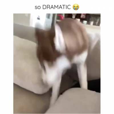 Overreacted you say