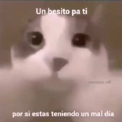 B s0s