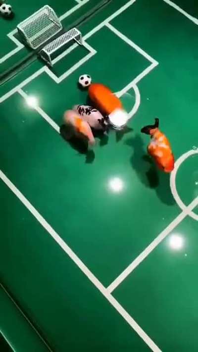 Goal'd Fish