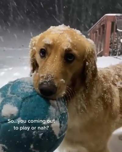 Come out to play