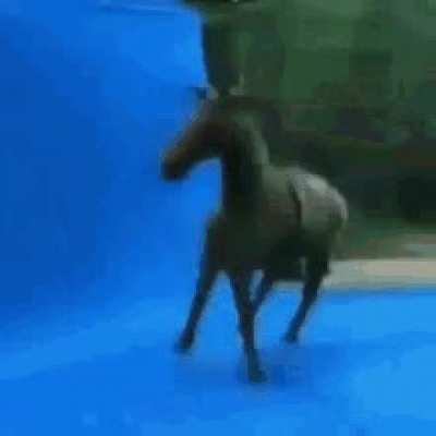 Spin